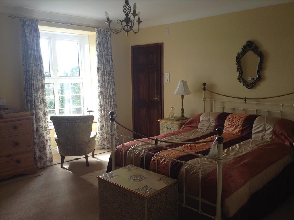Frondderw Country House Bed & Breakfast Bala Exterior photo